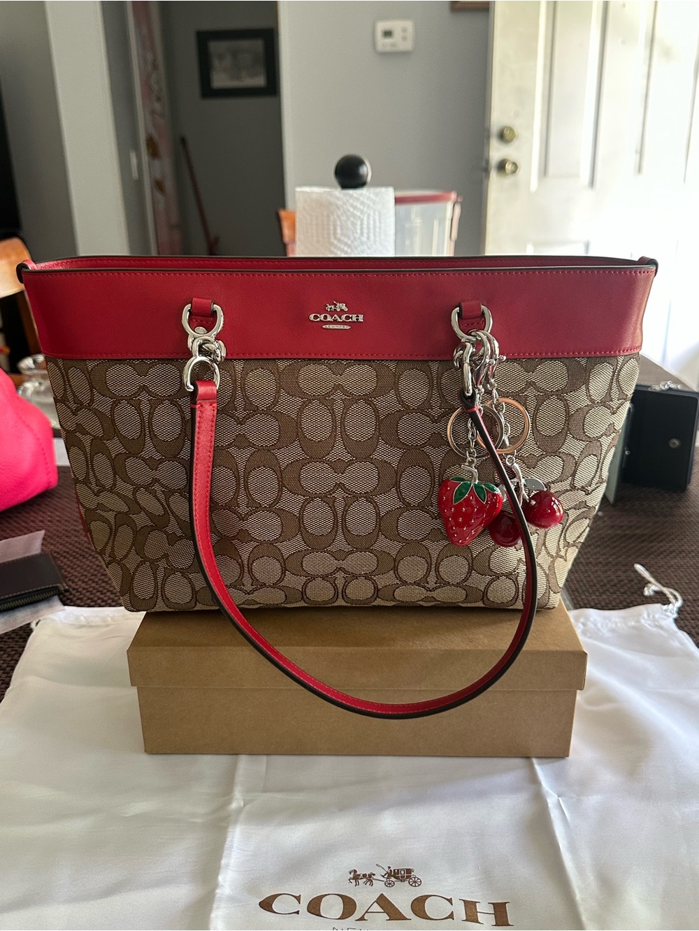 Coach Sophia Chain Tote Bag